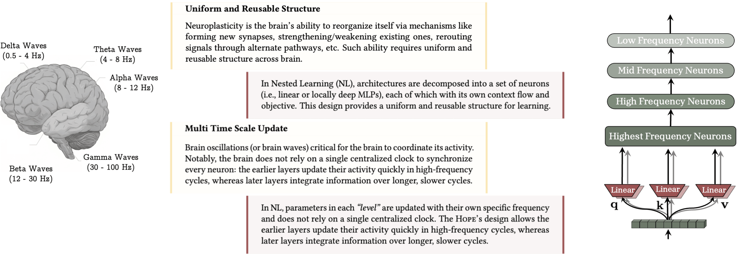 Схематическое изображение мозговых волн и четырех уровней нейронных частот при вложенном обучении